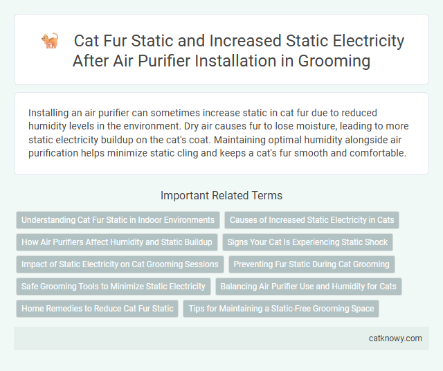 Cat Fur Static and Increased Static Electricity After Air Purifier Installation in Grooming