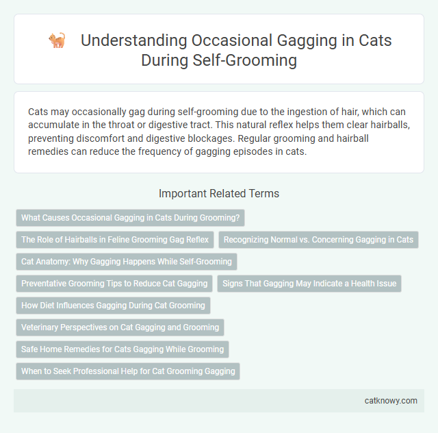 Understanding Occasional Gagging in Cats During Self-Grooming