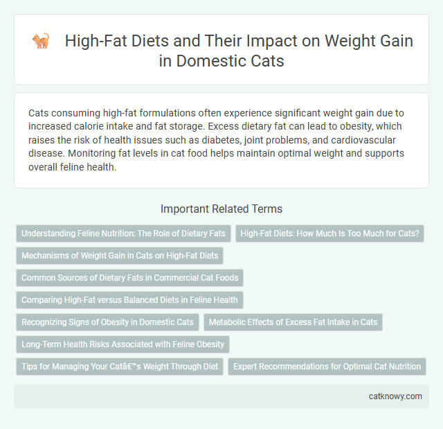 High-Fat Diets and Their Impact on Weight Gain in Domestic Cats