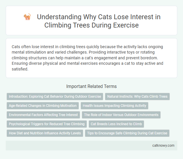 Understanding Why Cats Lose Interest in Climbing Trees During Exercise