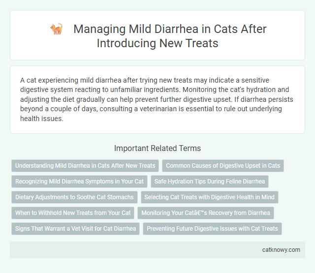 Managing Mild Diarrhea in Cats After Introducing New Treats