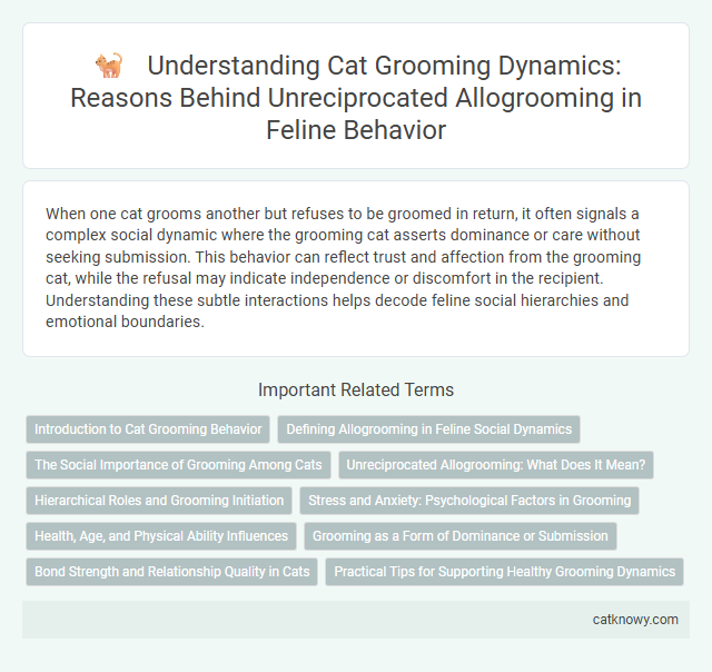 Understanding Cat Grooming Dynamics: Reasons Behind Unreciprocated Allogrooming in Feline Behavior