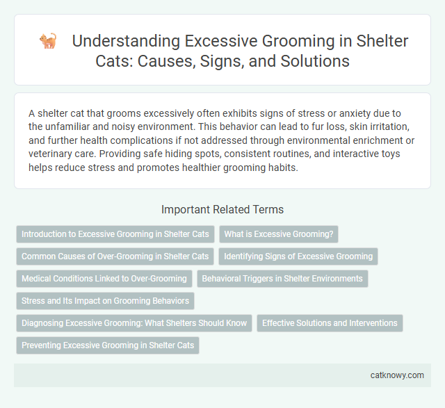 Understanding Excessive Grooming in Shelter Cats: Causes, Signs, and Solutions