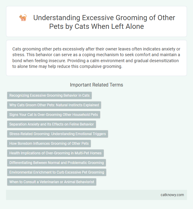 Understanding Excessive Grooming of Other Pets by Cats When Left Alone