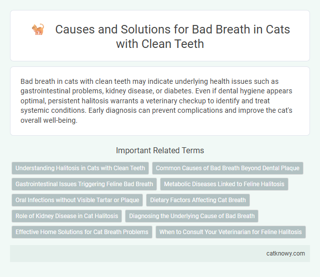 Causes and Solutions for Bad Breath in Cats with Clean Teeth