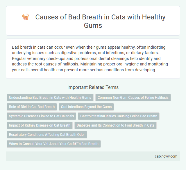 Causes of Bad Breath in Cats with Healthy Gums