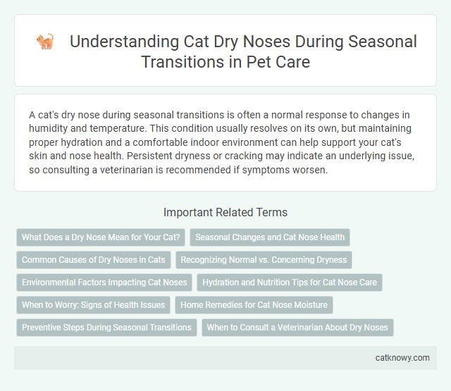 Understanding Cat Dry Noses During Seasonal Transitions in Pet Care