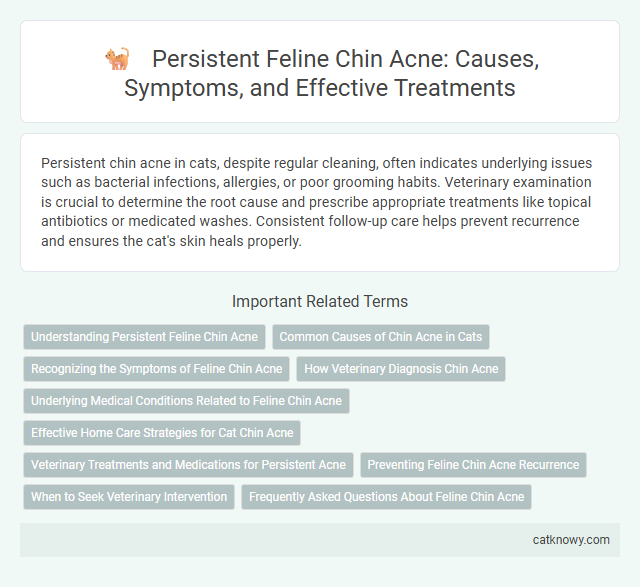 Persistent Feline Chin Acne: Causes, Symptoms, and Effective Treatments
