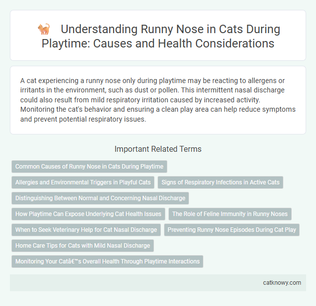 Understanding Runny Nose in Cats During Playtime: Causes and Health Considerations