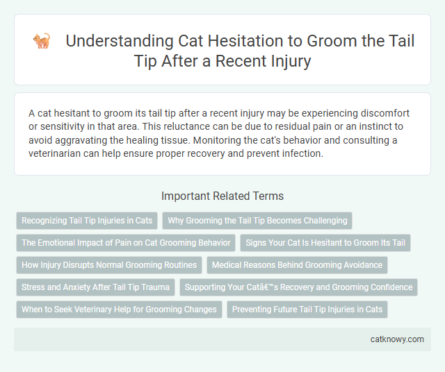 Understanding Cat Hesitation to Groom the Tail Tip After a Recent Injury