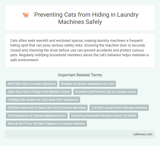 Preventing Cats from Hiding in Laundry Machines Safely