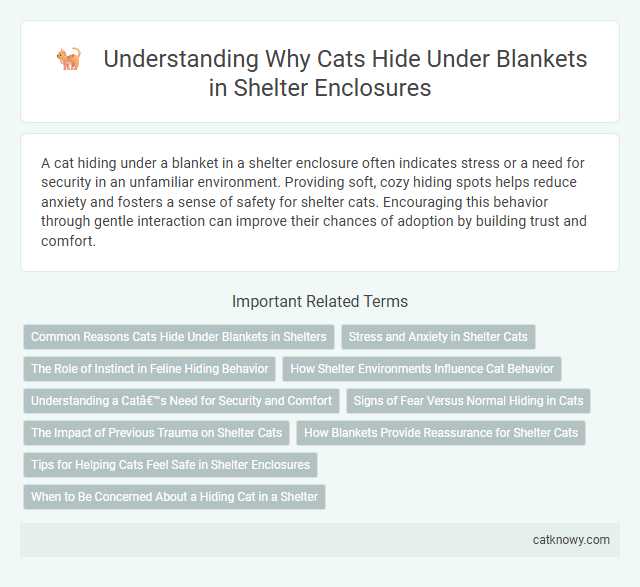 Understanding Why Cats Hide Under Blankets in Shelter Enclosures