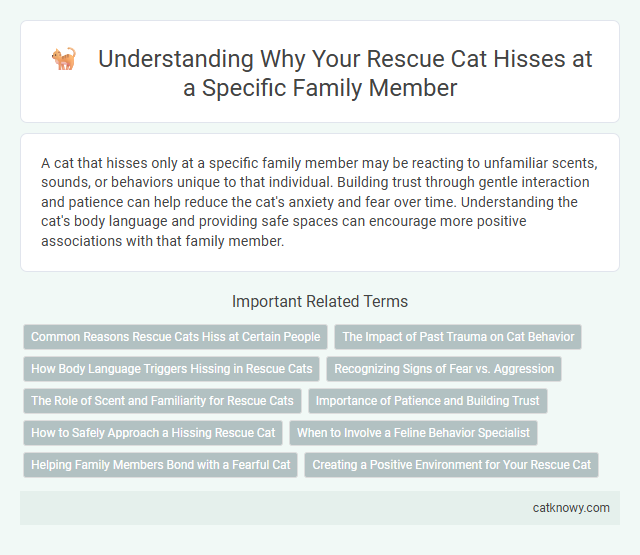 Understanding Why Your Rescue Cat Hisses at a Specific Family Member