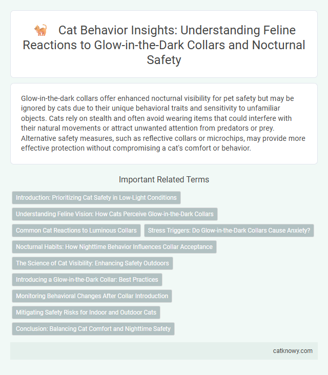 Cat Behavior Insights: Understanding Feline Reactions to Glow-in-the-Dark Collars and Nocturnal Safety