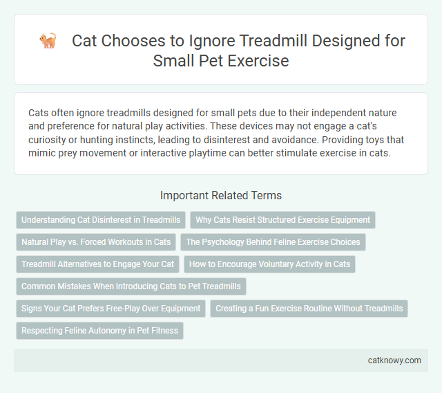 Cat Chooses to Ignore Treadmill Designed for Small Pet Exercise