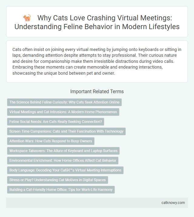 Why Cats Love Crashing Virtual Meetings: Understanding Feline Behavior in Modern Lifestyles