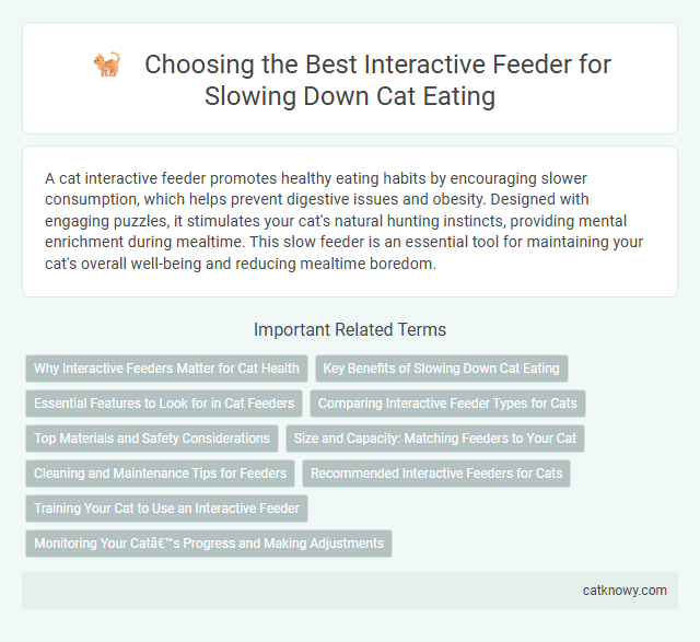 Choosing the Best Interactive Feeder for Slowing Down Cat Eating