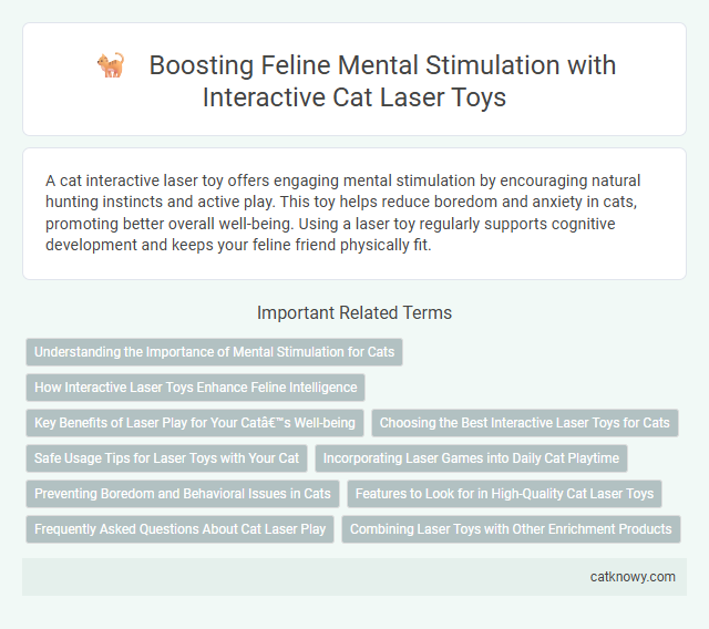 Boosting Feline Mental Stimulation with Interactive Cat Laser Toys