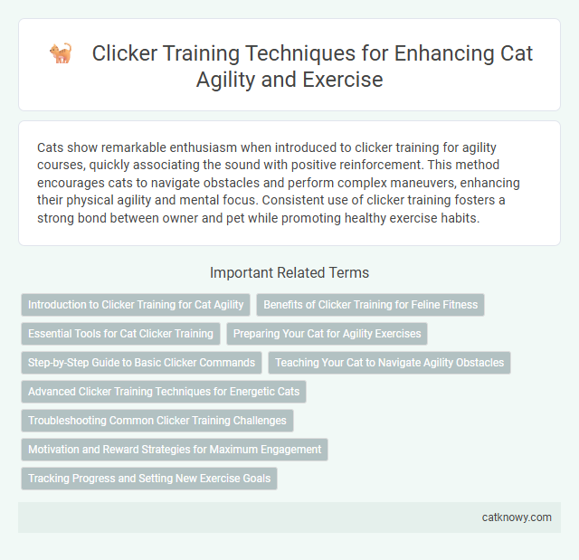 Clicker Training Techniques for Enhancing Cat Agility and Exercise