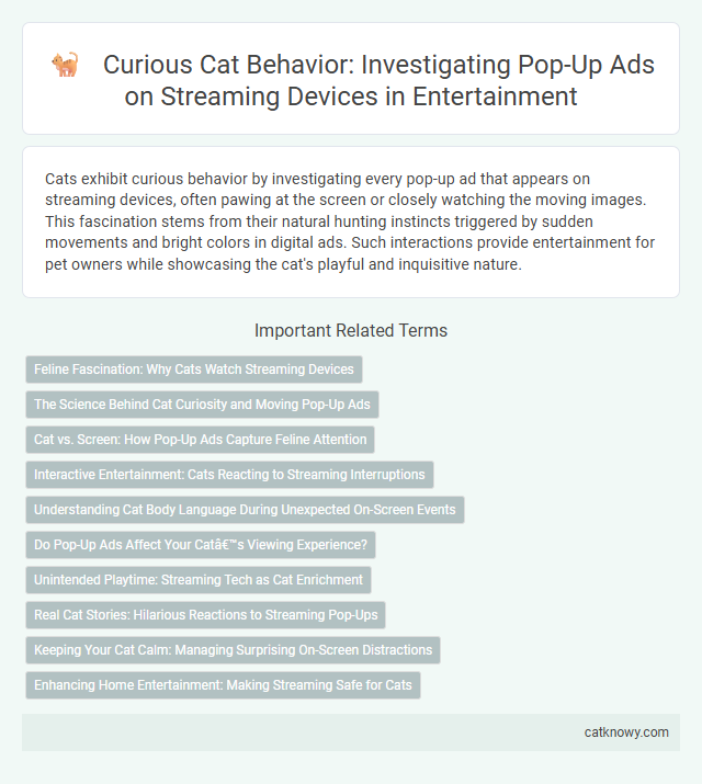 Curious Cat Behavior: Investigating Pop-Up Ads on Streaming Devices in Entertainment