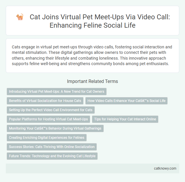 Cat Joins Virtual Pet Meet-Ups Via Video Call: Enhancing Feline Social Life