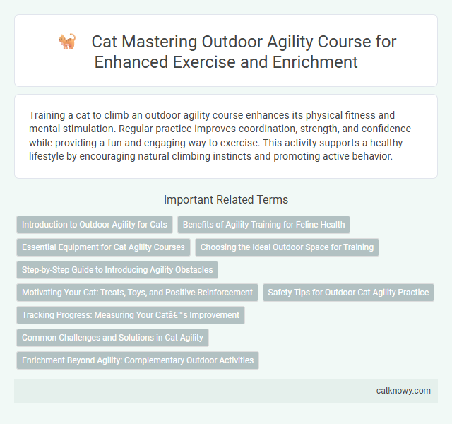 Cat Mastering Outdoor Agility Course for Enhanced Exercise and Enrichment