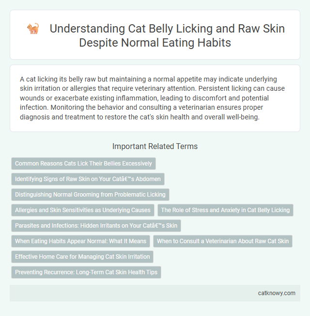 Understanding Cat Belly Licking and Raw Skin Despite Normal Eating Habits