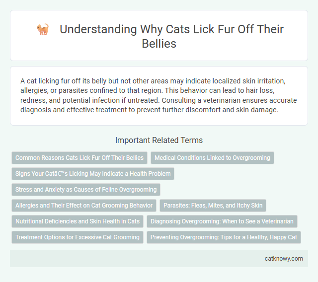 Understanding Why Cats Lick Fur Off Their Bellies