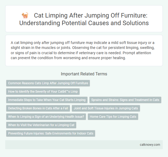 Cat Limping After Jumping Off Furniture: Understanding Potential Causes and Solutions