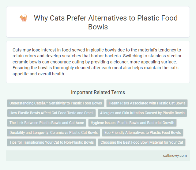 Why Cats Prefer Alternatives to Plastic Food Bowls