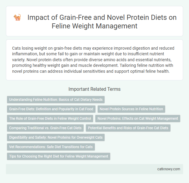 Impact of Grain-Free and Novel Protein Diets on Feline Weight Management