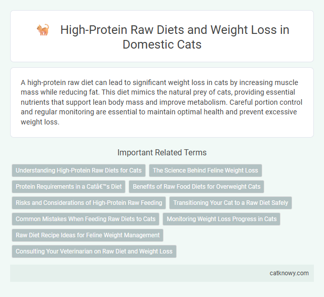 High-Protein Raw Diets and Weight Loss in Domestic Cats