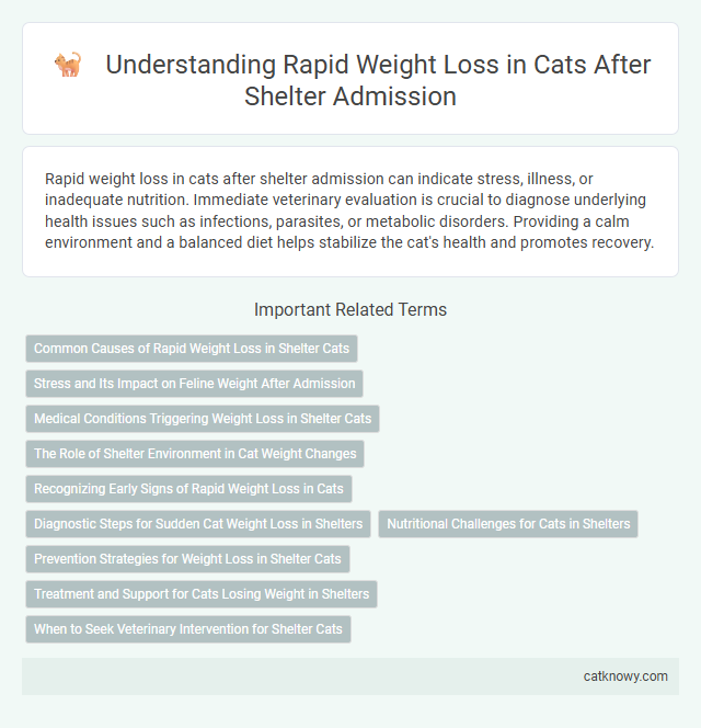 Understanding Rapid Weight Loss in Cats After Shelter Admission