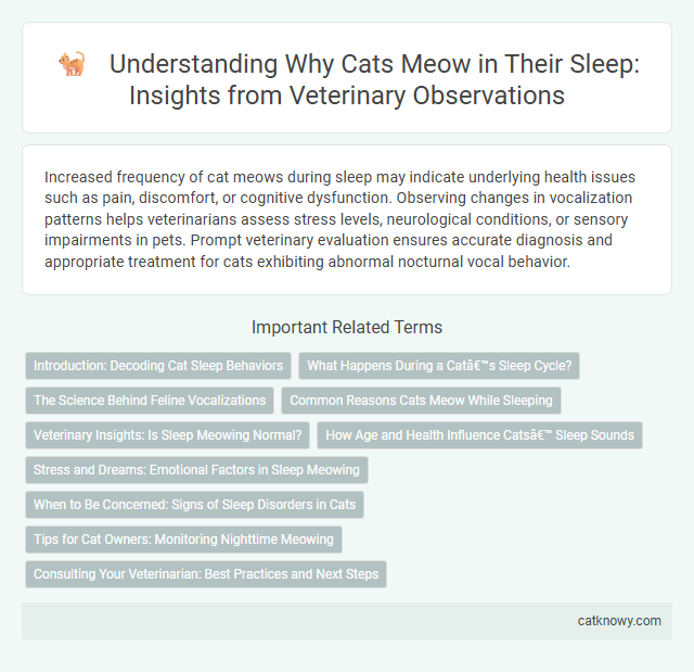 Understanding Why Cats Meow in Their Sleep: Insights from Veterinary Observations