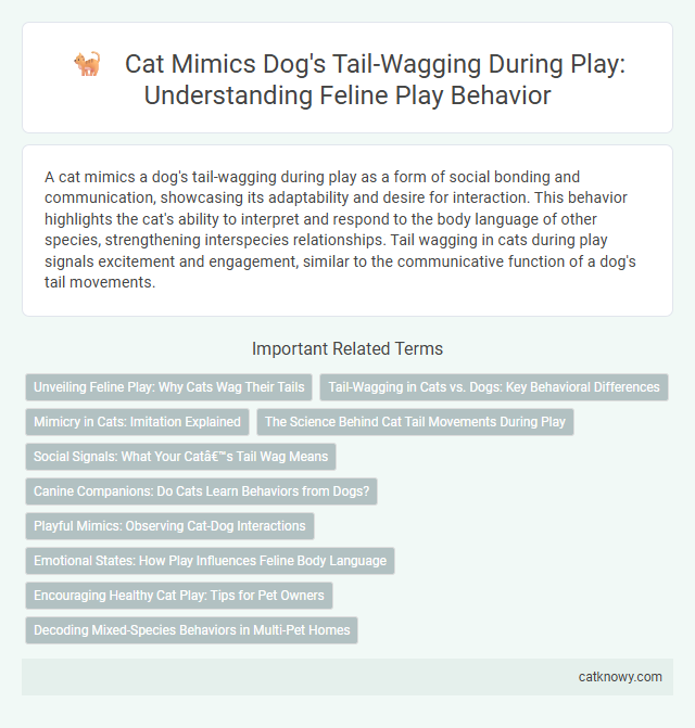 Cat Mimics Dog's Tail-Wagging During Play: Understanding Feline Play Behavior
