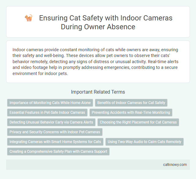 Ensuring Cat Safety with Indoor Cameras During Owner Absence