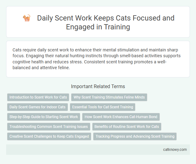 Daily Scent Work Keeps Cats Focused and Engaged in Training