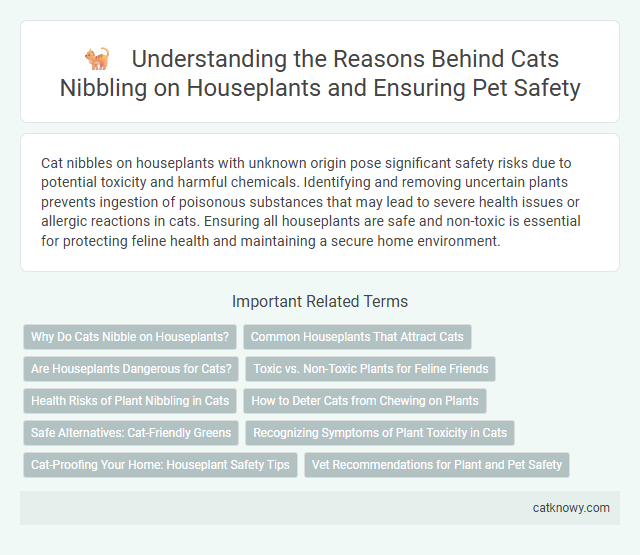 Understanding the Reasons Behind Cats Nibbling on Houseplants and Ensuring Pet Safety