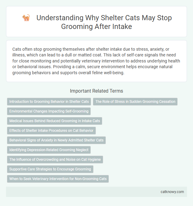 Understanding Why Shelter Cats May Stop Grooming After Intake