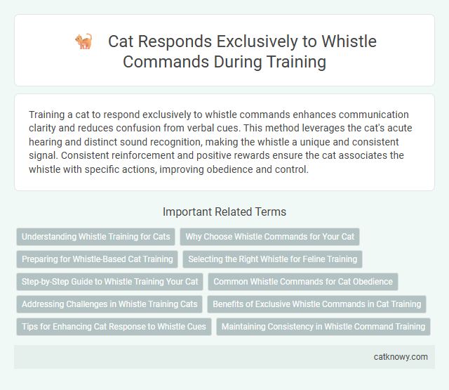 Cat Responds Exclusively to Whistle Commands During Training