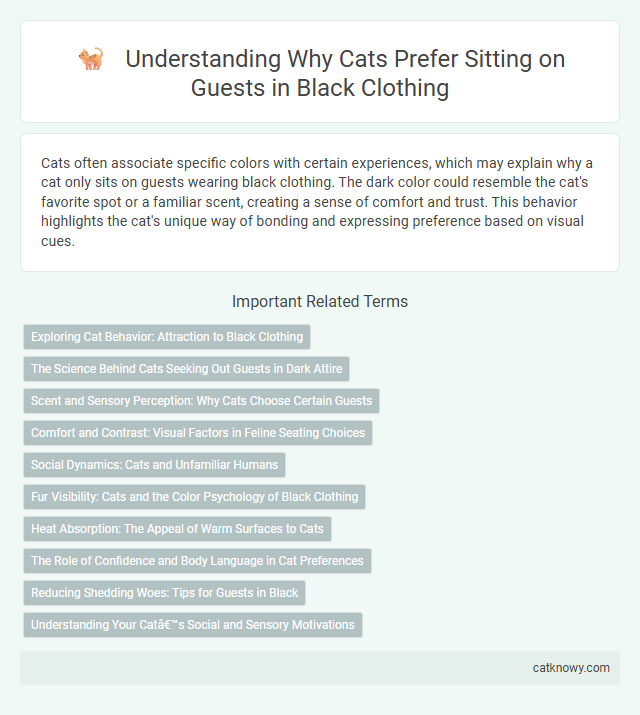 Understanding Why Cats Prefer Sitting on Guests in Black Clothing