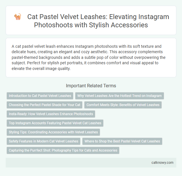 Cat Pastel Velvet Leashes: Elevating Instagram Photoshoots with Stylish Accessories