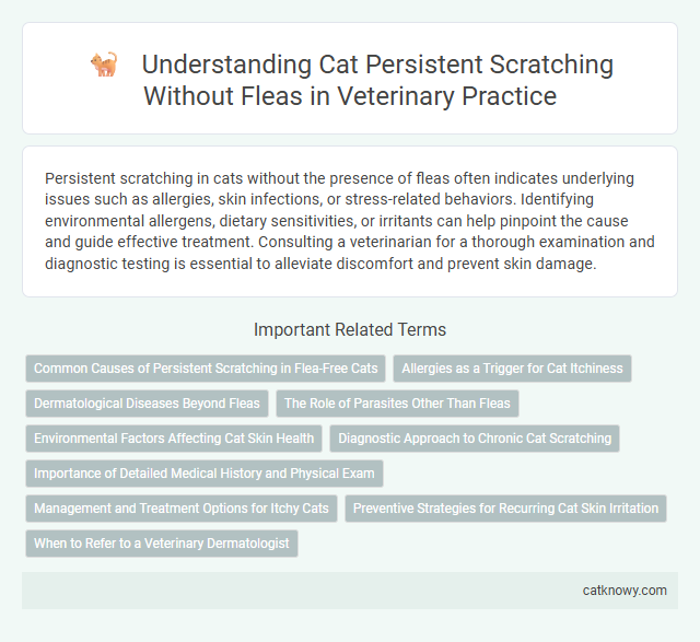 Understanding Cat Persistent Scratching Without Fleas in Veterinary Practice