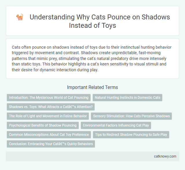 Understanding Why Cats Pounce on Shadows Instead of Toys