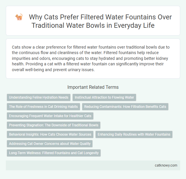 Why Cats Prefer Filtered Water Fountains Over Traditional Water Bowls in Everyday Life