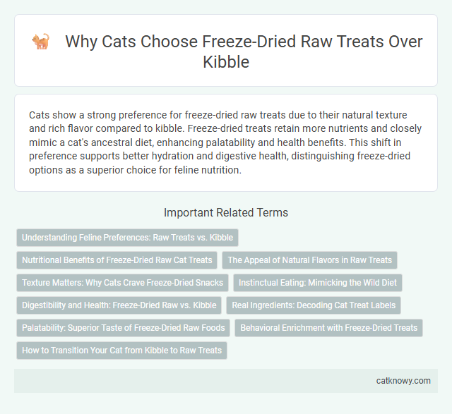 Why Cats Choose Freeze-Dried Raw Treats Over Kibble