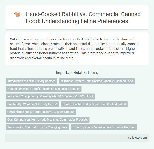 Hand-Cooked Rabbit vs. Commercial Canned Food: Understanding Feline Preferences