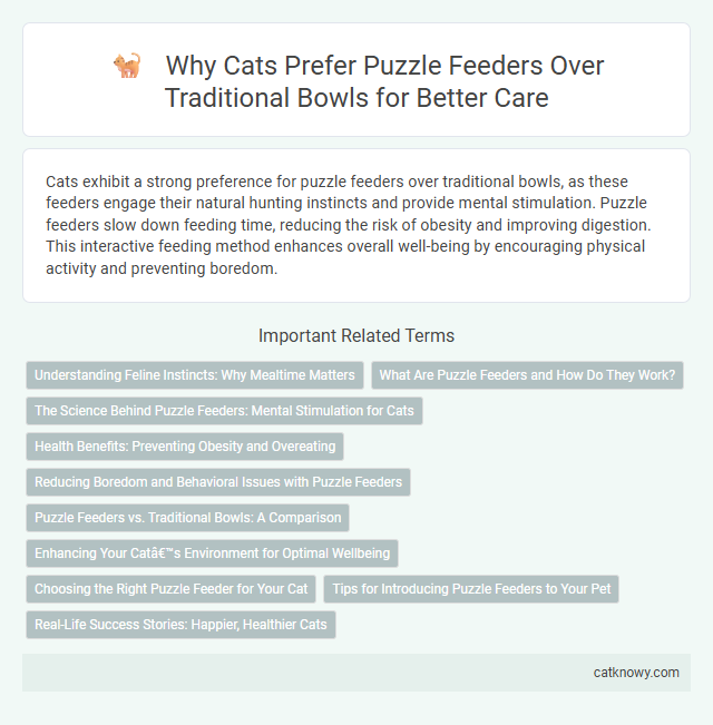 Why Cats Prefer Puzzle Feeders Over Traditional Bowls for Better Care