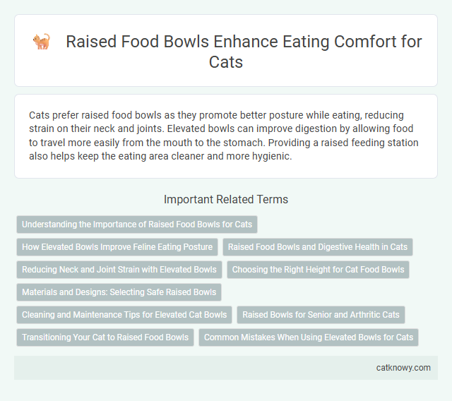 Raised Food Bowls Enhance Eating Comfort for Cats