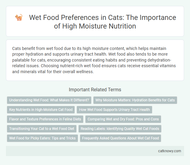 Wet Food Preferences in Cats: The Importance of High Moisture Nutrition